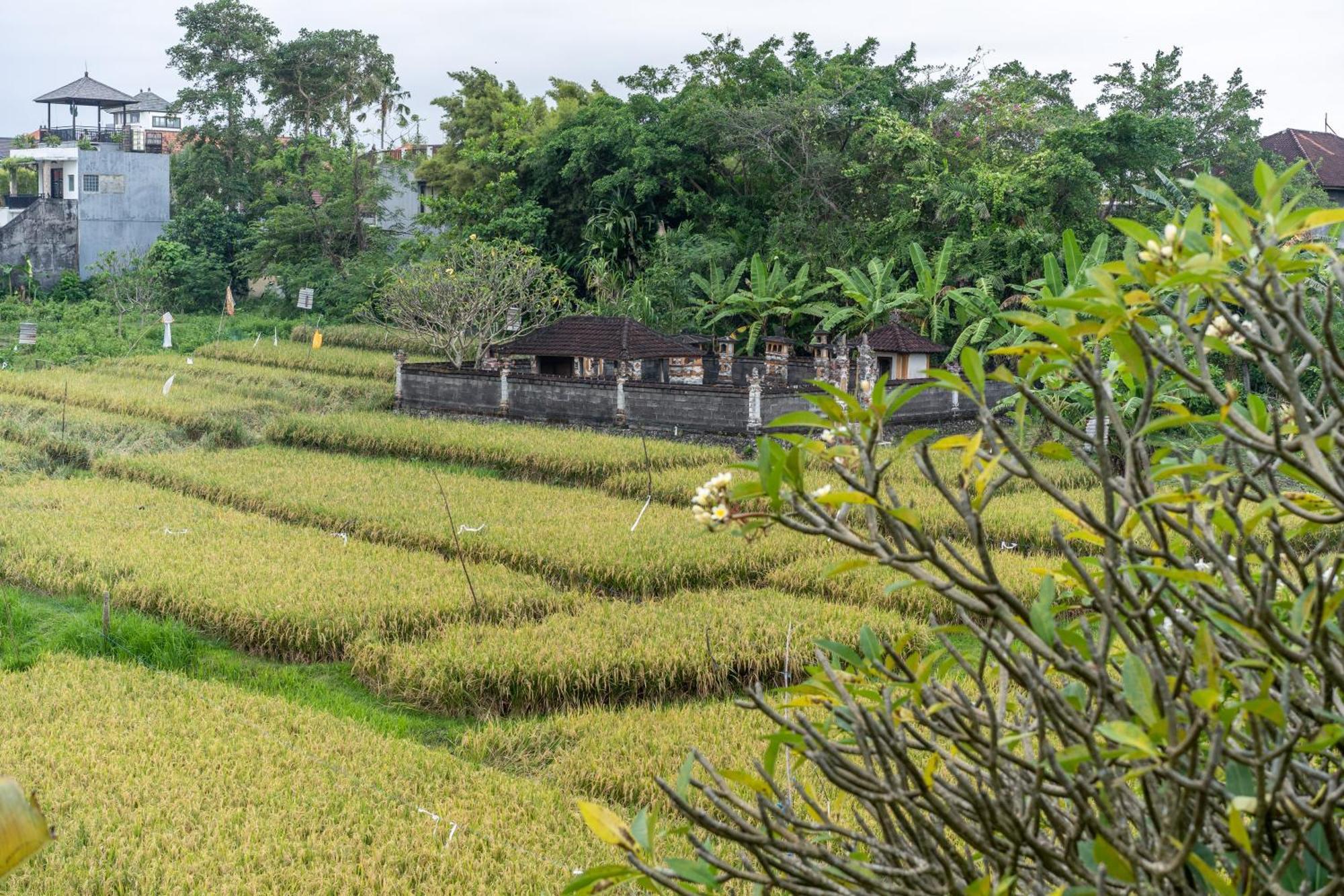 Villa Sunsara 4 - Enchanting 4Br Villa In A Great Location 坎古 外观 照片